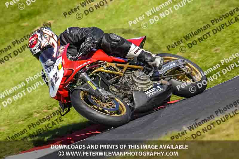 cadwell no limits trackday;cadwell park;cadwell park photographs;cadwell trackday photographs;enduro digital images;event digital images;eventdigitalimages;no limits trackdays;peter wileman photography;racing digital images;trackday digital images;trackday photos
